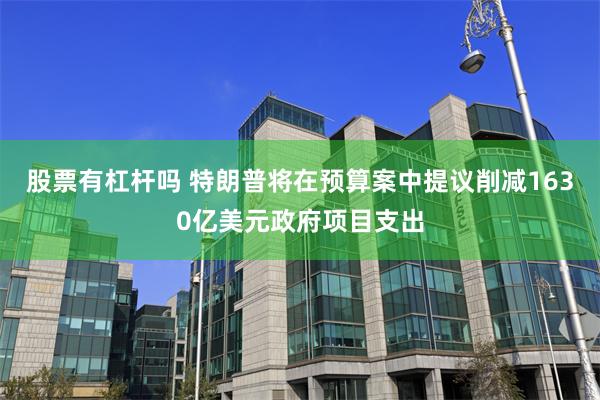 股票有杠杆吗 特朗普将在预算案中提议削减1630亿美元政府项目支出