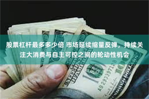 股票杠杆最多多少倍 市场延续缩量反弹，持续关注大消费与自主可控之间的轮动性机会