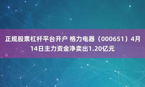 正规股票杠杆平台开户 格力电器（000651）4月14日主力资金净卖出1.20亿元