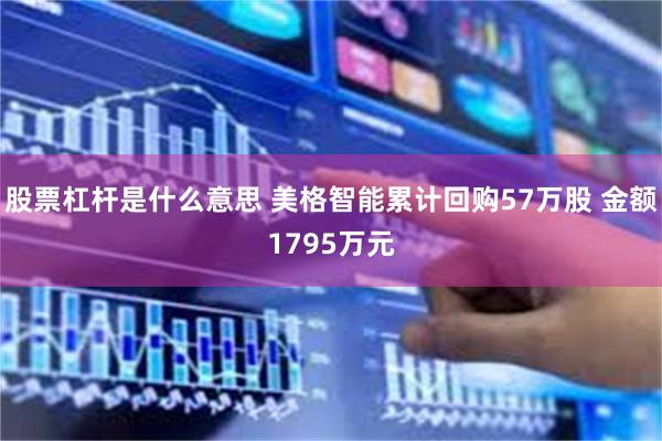 股票杠杆是什么意思 美格智能累计回购57万股 金额1795万元