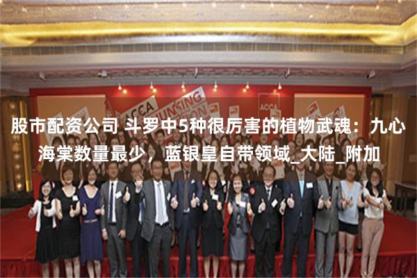 股市配资公司 斗罗中5种很厉害的植物武魂：九心海棠数量最少，蓝银皇自带领域_大陆_附加
