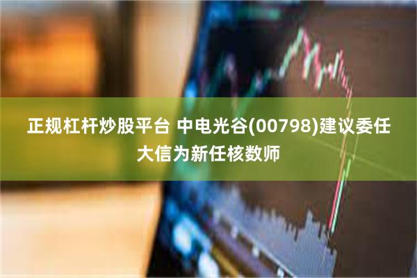 正规杠杆炒股平台 中电光谷(00798)建议委任大信为新任核数师