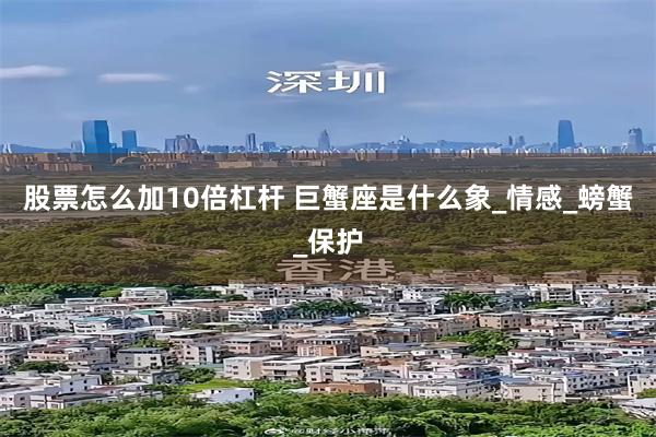 股票怎么加10倍杠杆 巨蟹座是什么象_情感_螃蟹_保护