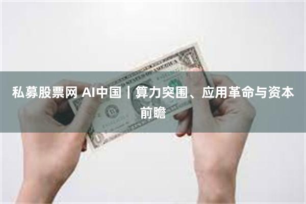 私募股票网 AI中国｜算力突围、应用革命与资本前瞻