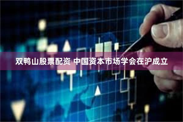 双鸭山股票配资 中国资本市场学会在沪成立