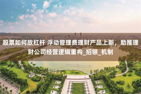 股票如何放杠杆 浮动管理费理财产品上新，助推理财公司经营逻辑重构_招银_机制