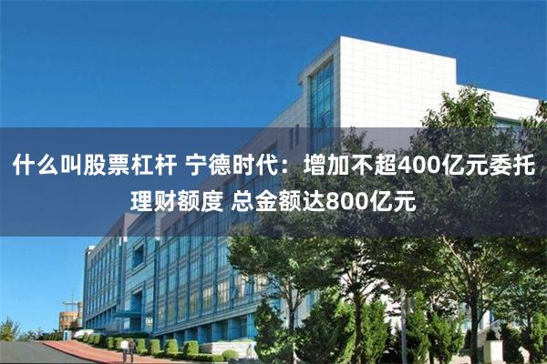 什么叫股票杠杆 宁德时代：增加不超400亿元委托理财额度 总金额达800亿元
