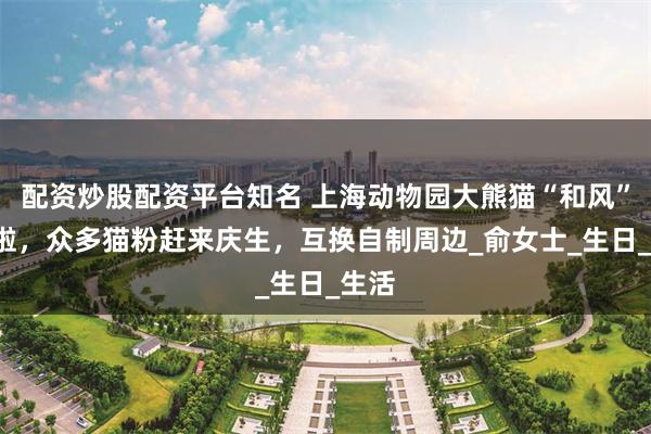 配资炒股配资平台知名 上海动物园大熊猫“和风”9岁啦，众多猫粉赶来庆生，互换自制周边_俞女士_生日_生活