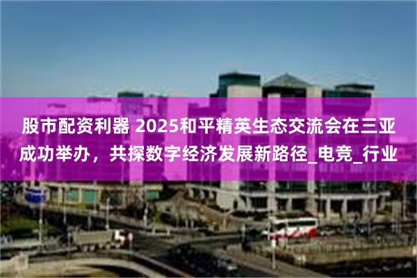股市配资利器 2025和平精英生态交流会在三亚成功举办，共探数字经济发展新路径_电竞_行业