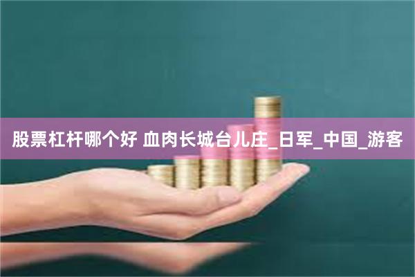 股票杠杆哪个好 血肉长城台儿庄_日军_中国_游客