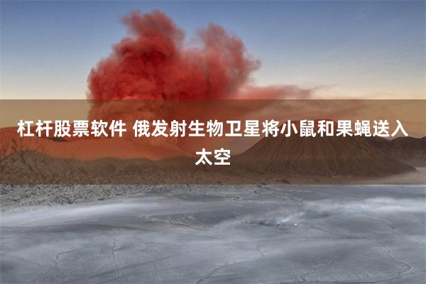 杠杆股票软件 俄发射生物卫星将小鼠和果蝇送入太空