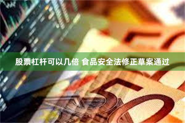 股票杠杆可以几倍 食品安全法修正草案通过
